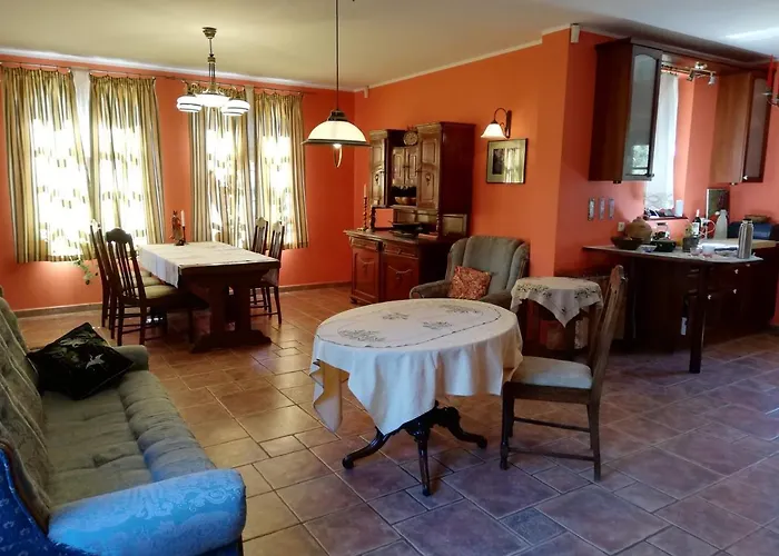 Lisi Dwor Semesterbostad Czarny Mlyn