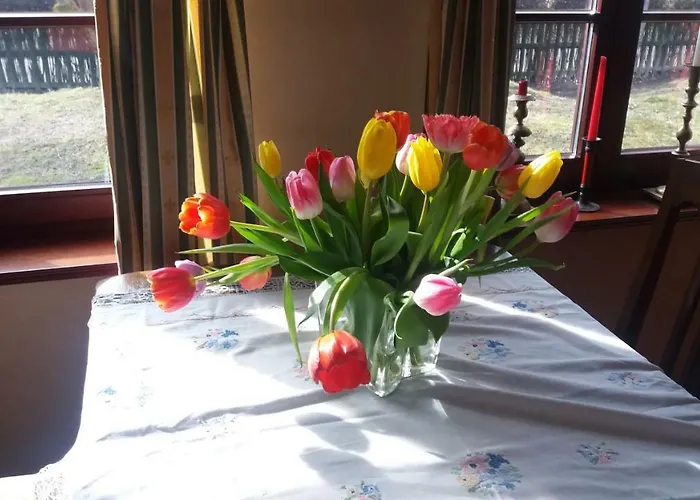 Lisi Dwor * Czarny Mlyn