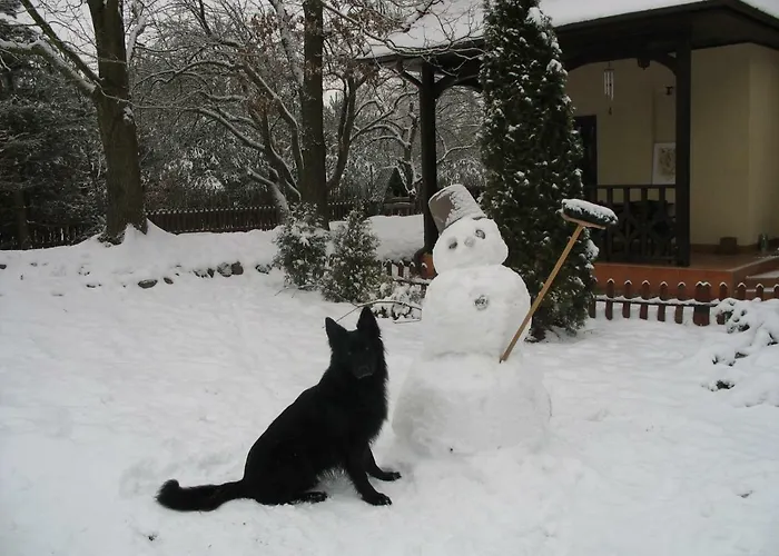 Lisi Dwor Semesterbostad